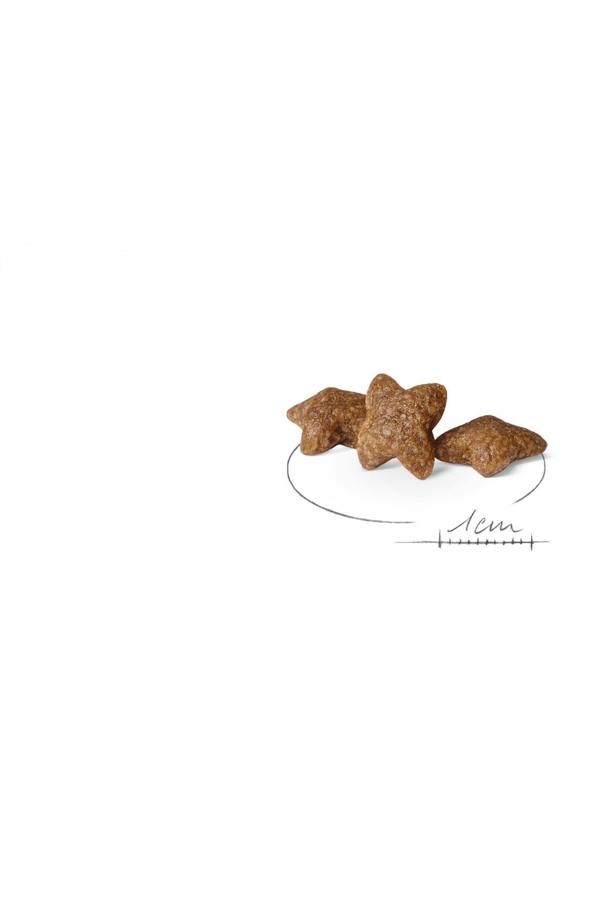 Royal Canin Mini Adult 4 Kg Yetişkin Kuru Köpek Maması