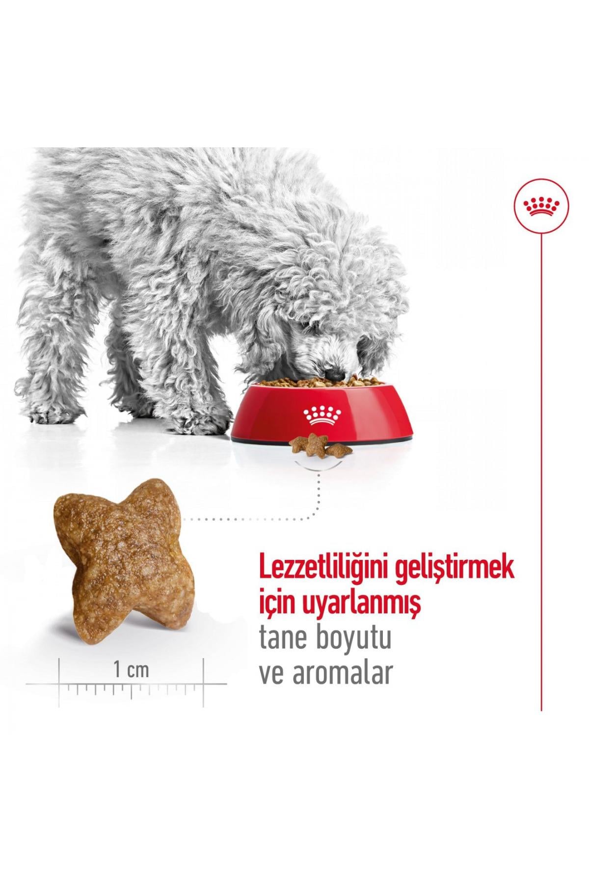 Royal Canin Mini Adult 4 Kg Yetişkin Kuru Köpek Maması