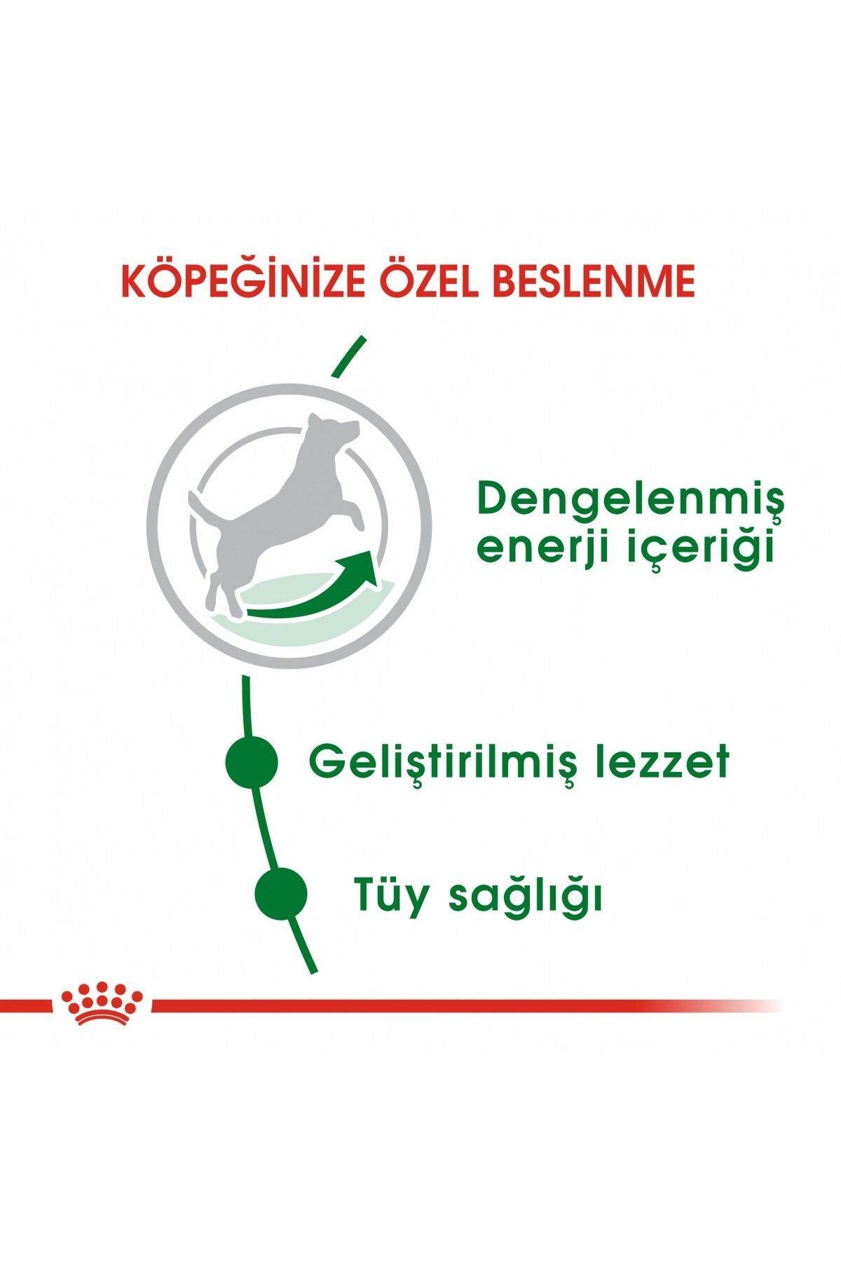 Royal Canin Mini Adult 4 Kg Yetişkin Kuru Köpek Maması