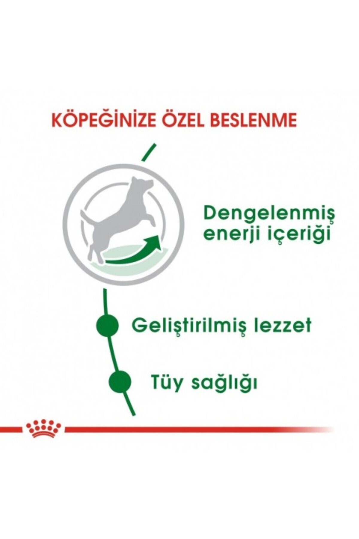 Royal Canin Mini Adult Köpek Maması 2 Kg + 2 Adet Yaş Mama Hediye