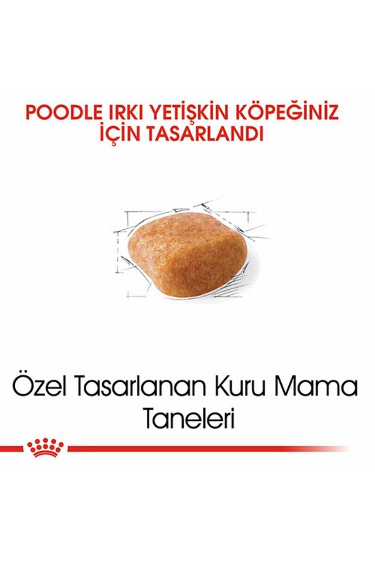 Royal Canin Poodle Adult Cins 3 Kg Yetişkin Kuru Köpek Maması