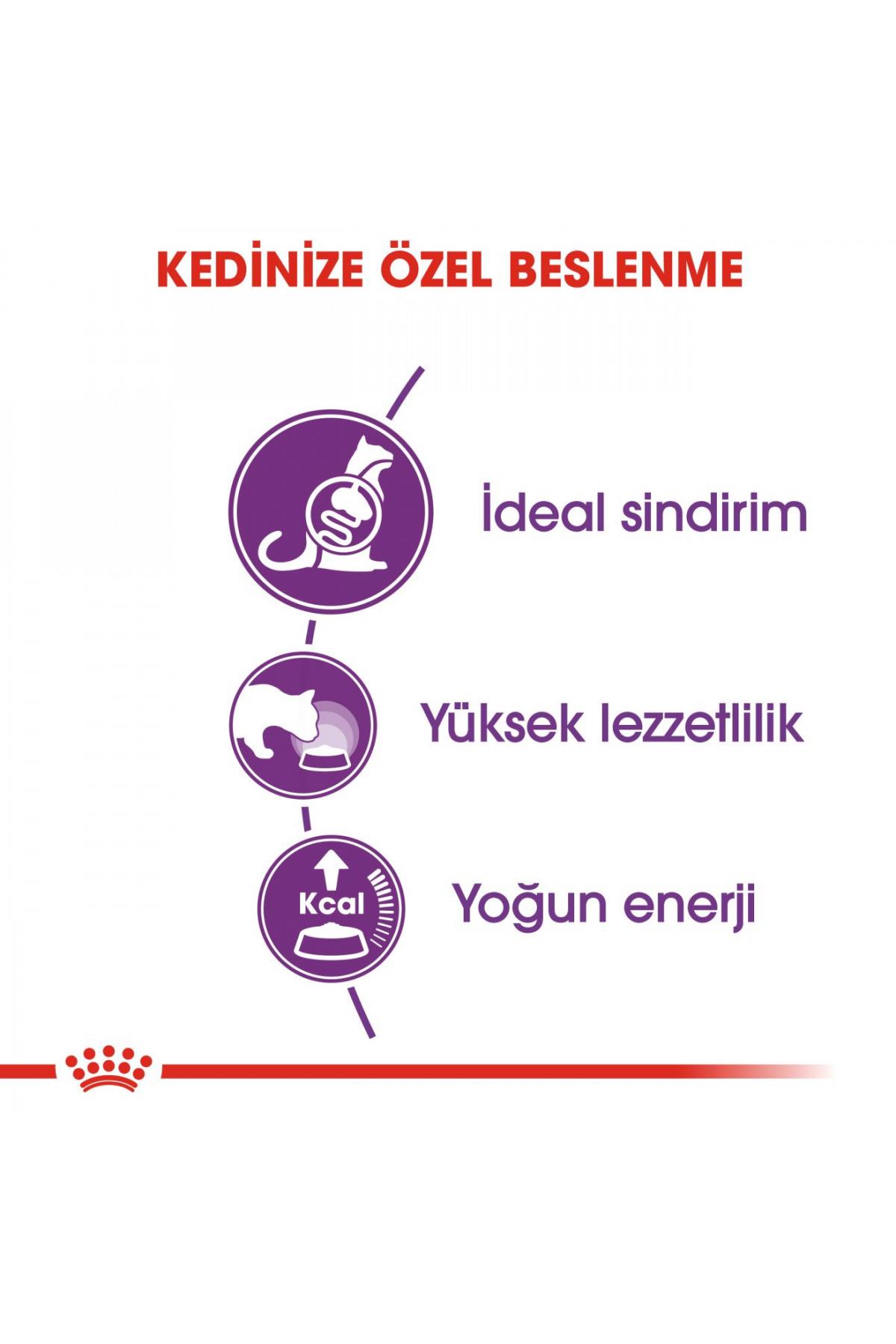Royal Canin Sensible 33 15 Kg Yetişkin Kuru Kedi Maması