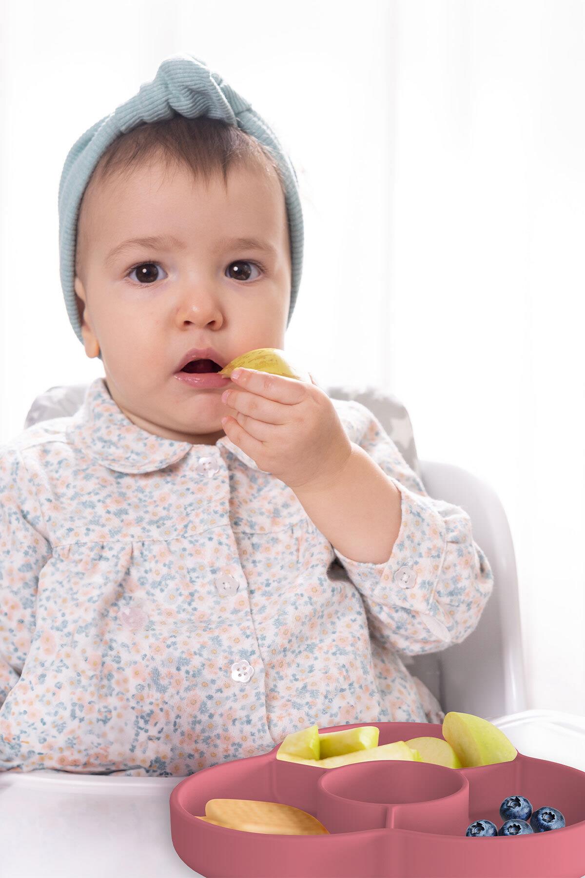 Wee Baby Nanninom Silikon Sürprizli Tabak Pembe