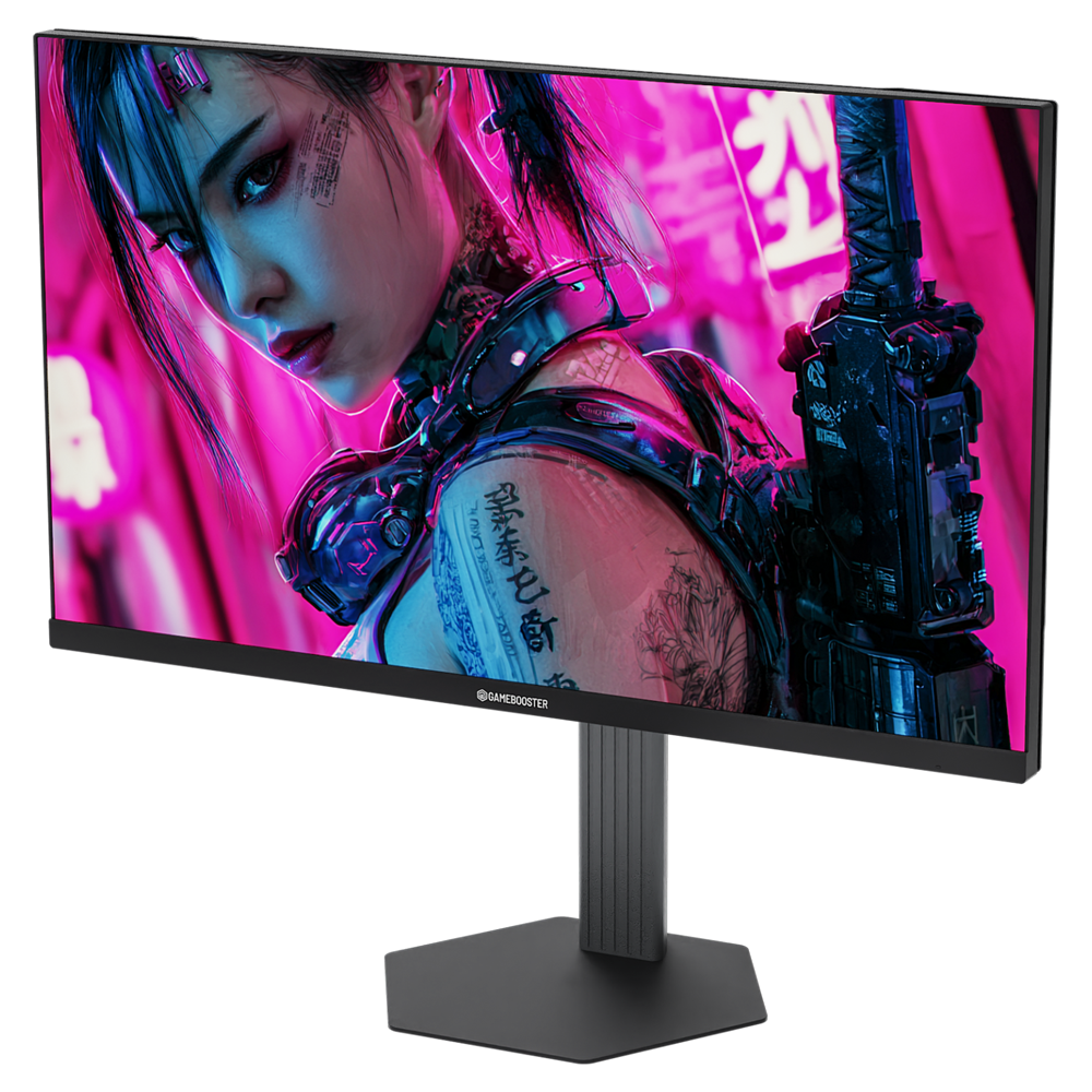 GAMEBOOSTER 24.5