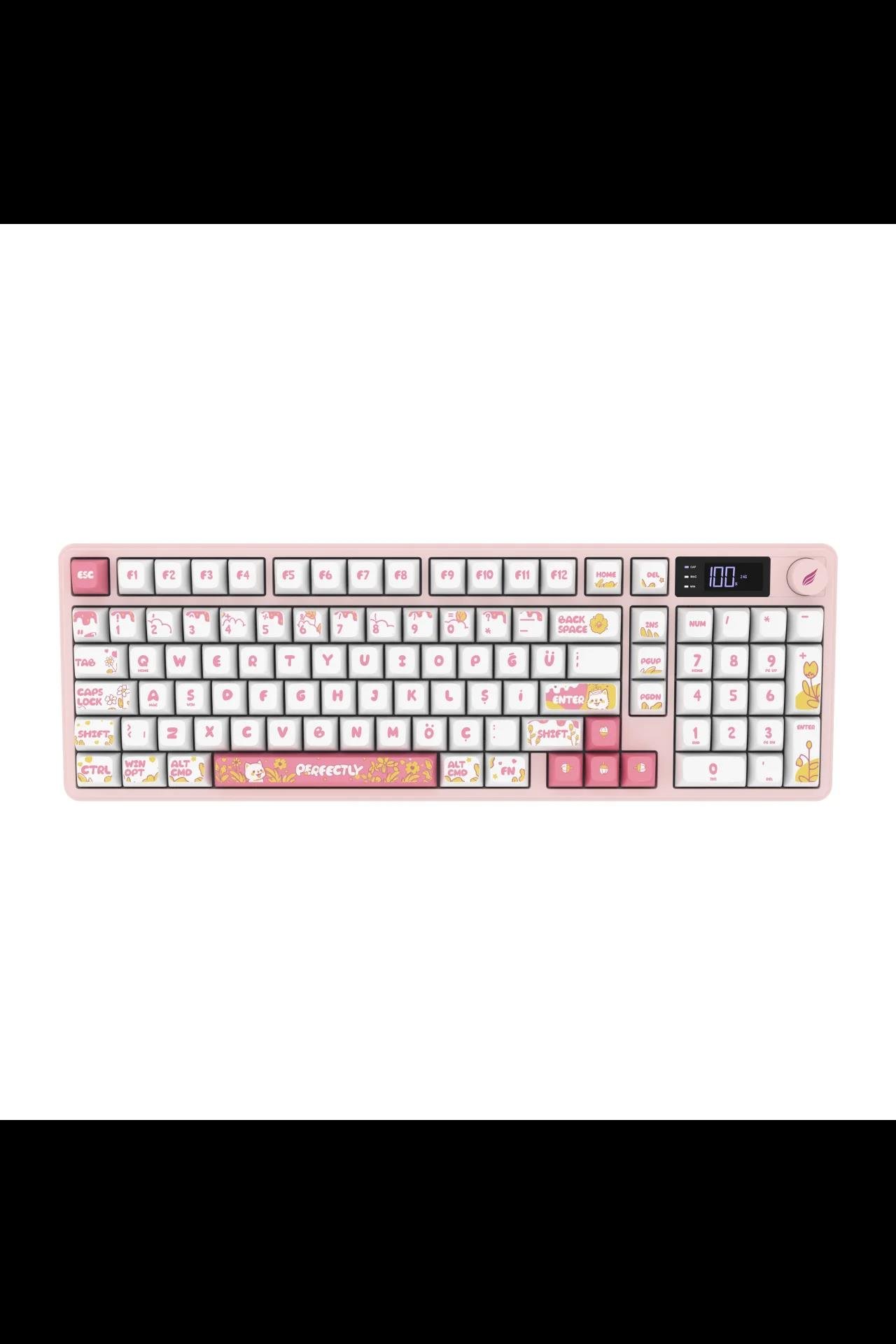 HAWK GAMING HK258WP KABLOSUZ BEYAZ PEMBE KLAVYE
