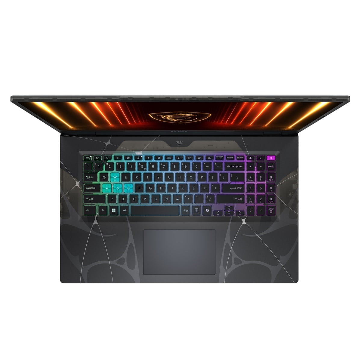 MSI 17.3
