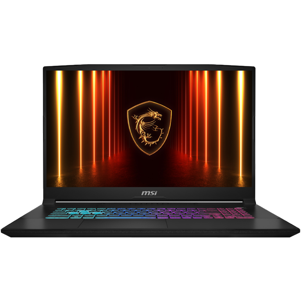 MSI 17.3
