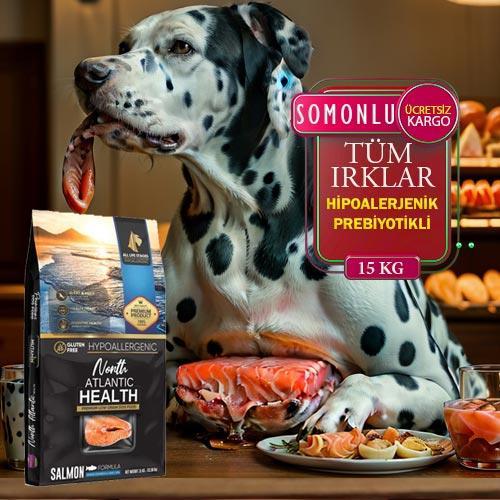 North Atlantic Health – Somonlu Köpek Maması 15 kg  Mutamin 