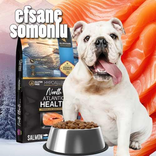 North Atlantic Health – Somonlu Köpek Maması 15 kg  Mutamin 