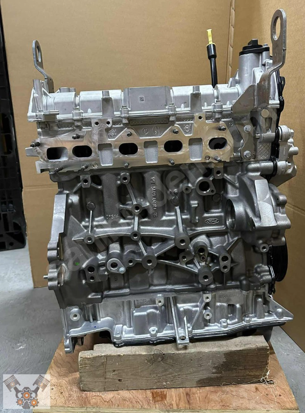 Ford Transit 2.0 Ecoblue (sandık) servis motoru önden çeker