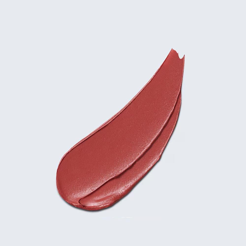 Estee LauderPure Color Explict Matte Lipstick 110