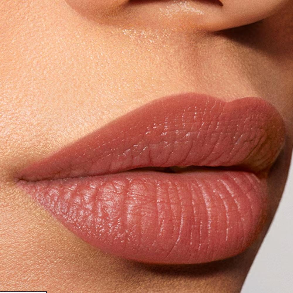 Estee LauderPure Color Explict Matte Lipstick 101
