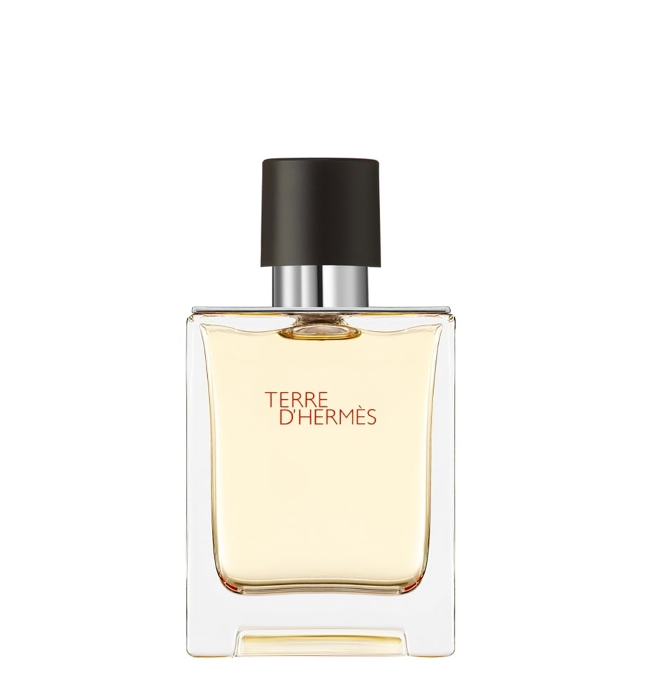 Hermes Terre D Edt 50 Spr
