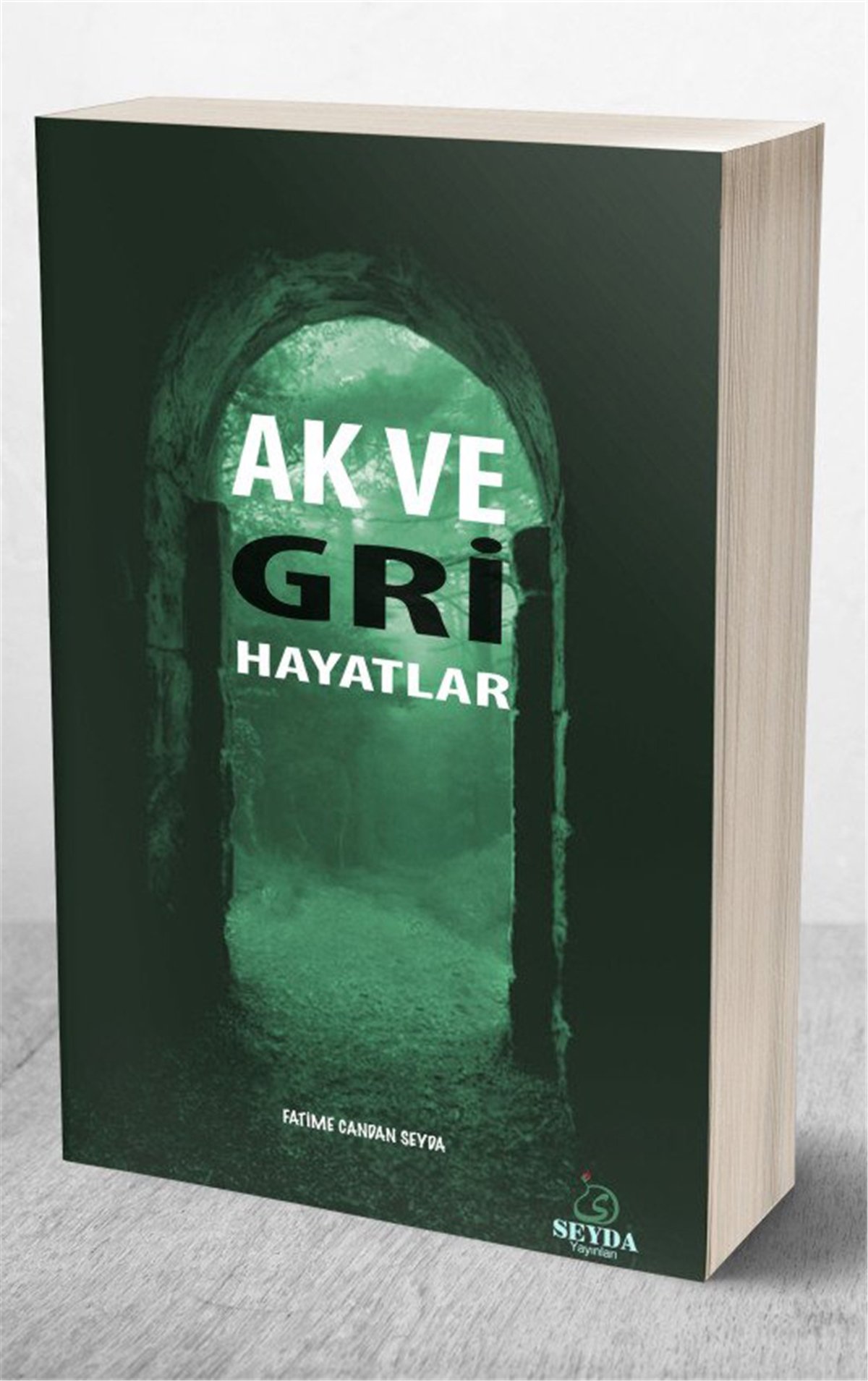 Ak Ve Gri HayatlarSeyda YayıneviHikaye ve Roman