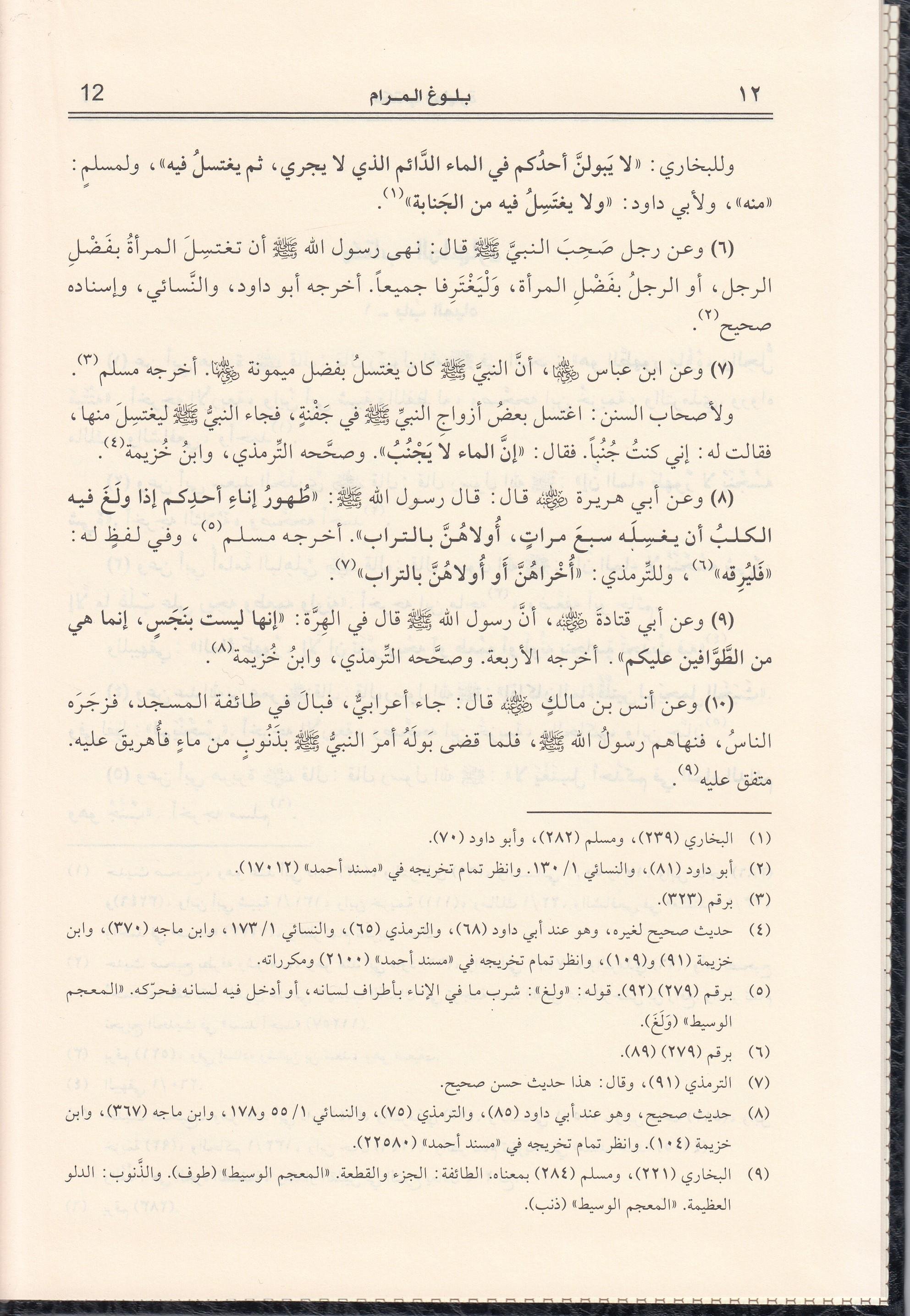 Bulugül Meram min Edilletil Ahkam-بلوغ المرام من أدلة الأحكامDar'ül Risaletü NaşirunFıkıh