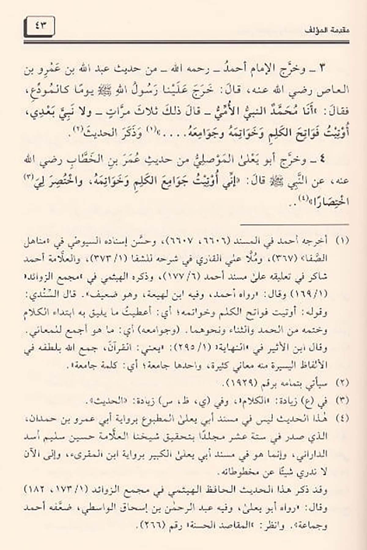 Camiül Ulum Vel Hikem Fi Şerhi Hamsine Hadisen Min Cevamiil Kelim 2Cilt |  جامع العلوم والحكمDar'ül Beşairil İslamiyyeHadis