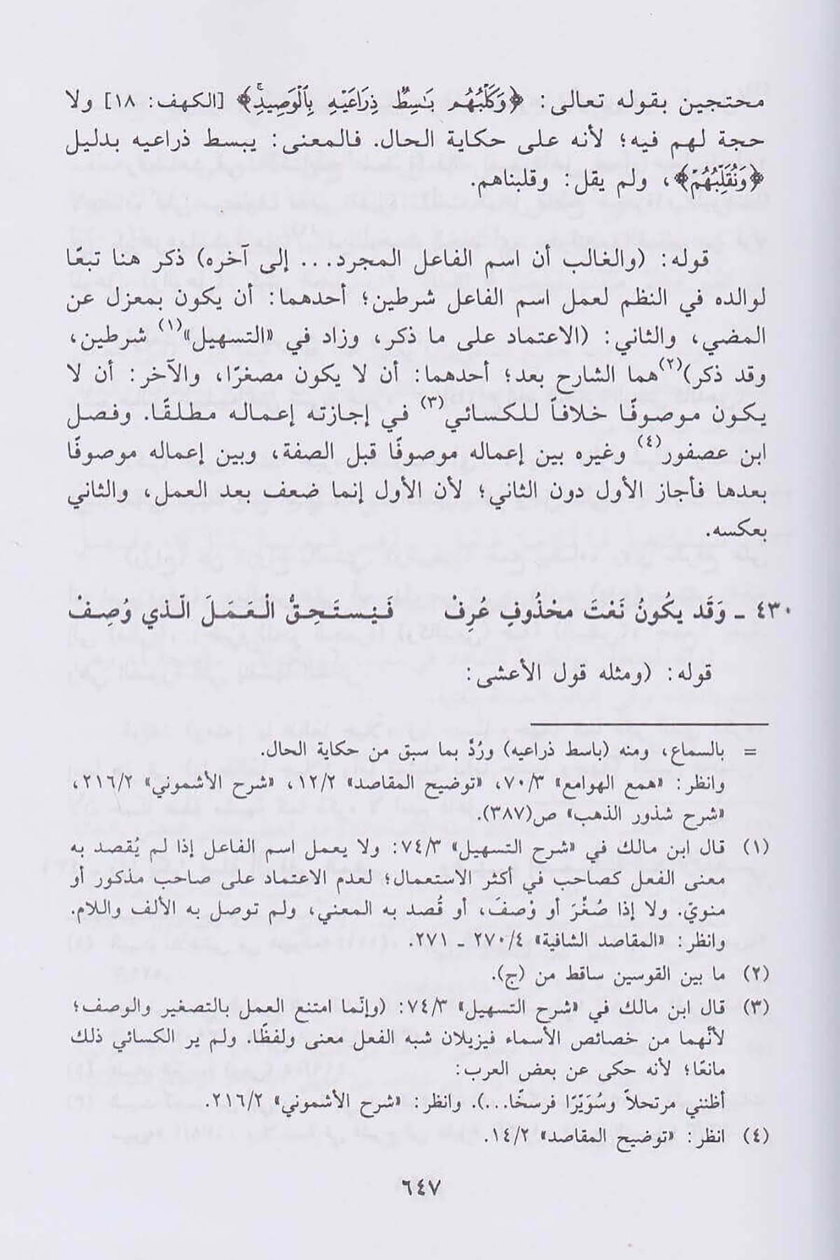 - الدرر السنيةDar'ül İbn HazmArap Dili ve Edebiyatı