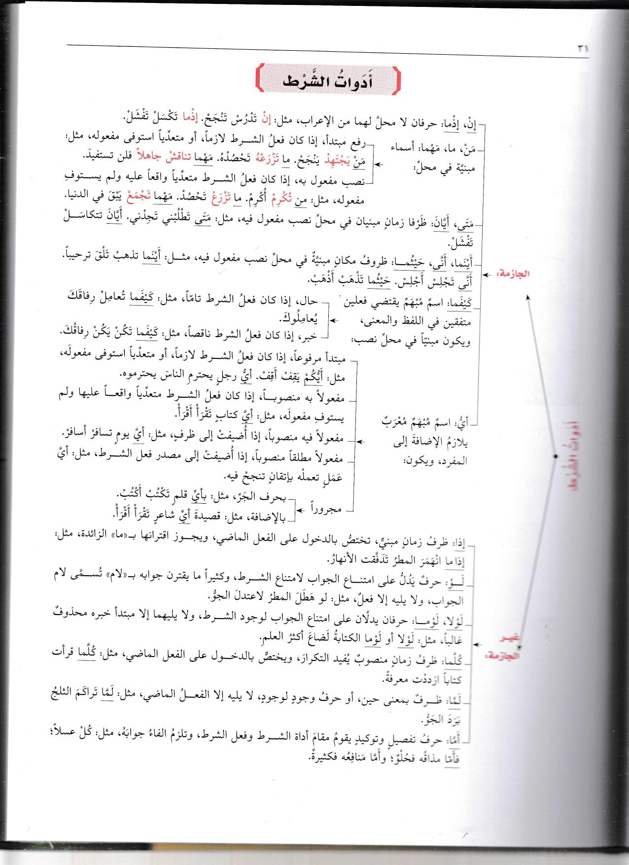 El Merciul Müşeccer fin Nahvi ves Sarf - المرجع المشجر في النحو والصرفDarün NefaisArap Dili ve Edebiyatı