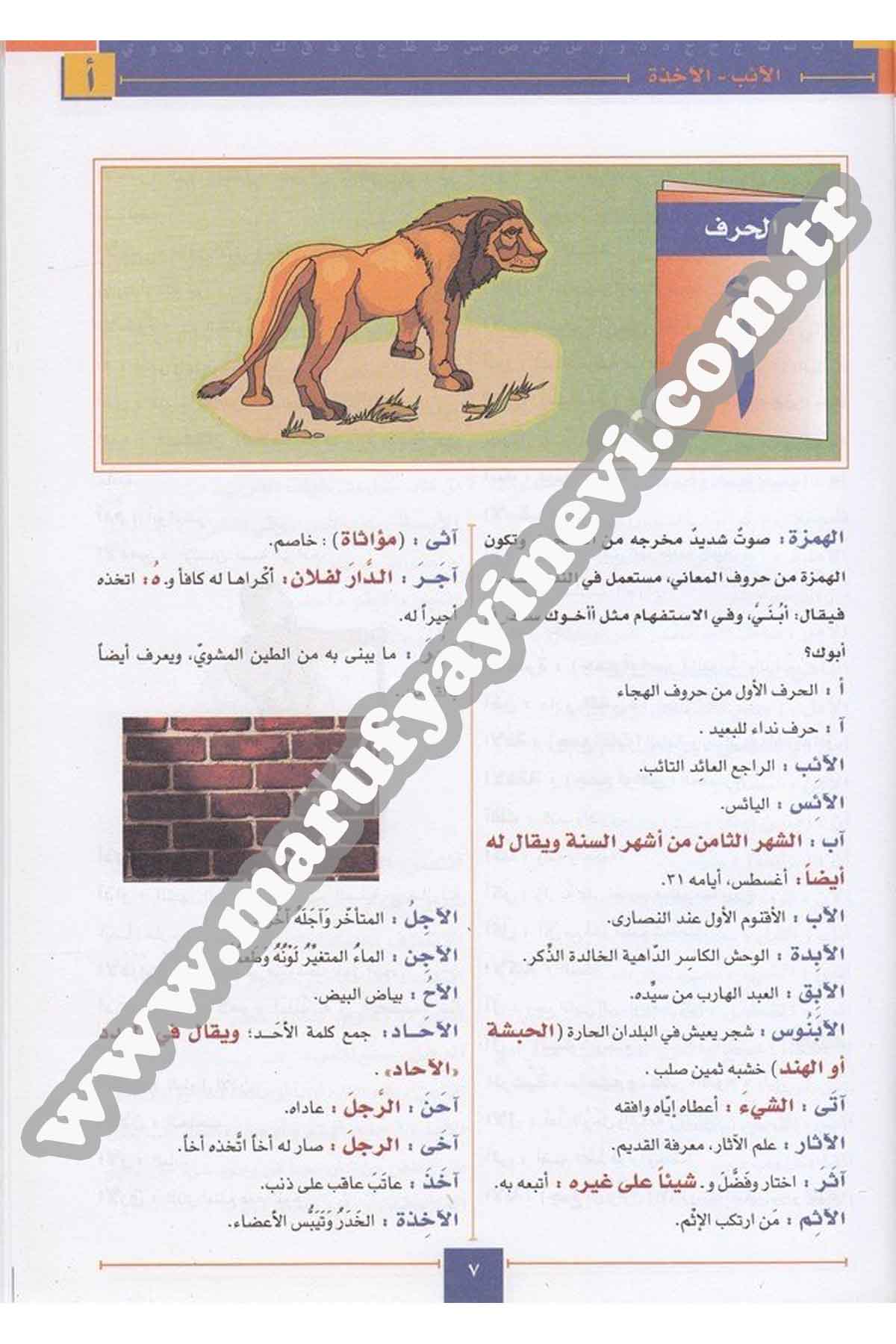 El Mucemül Vasit 1 Cilt | المعجم الوسيطDar'ül İhya TurasSözlükler