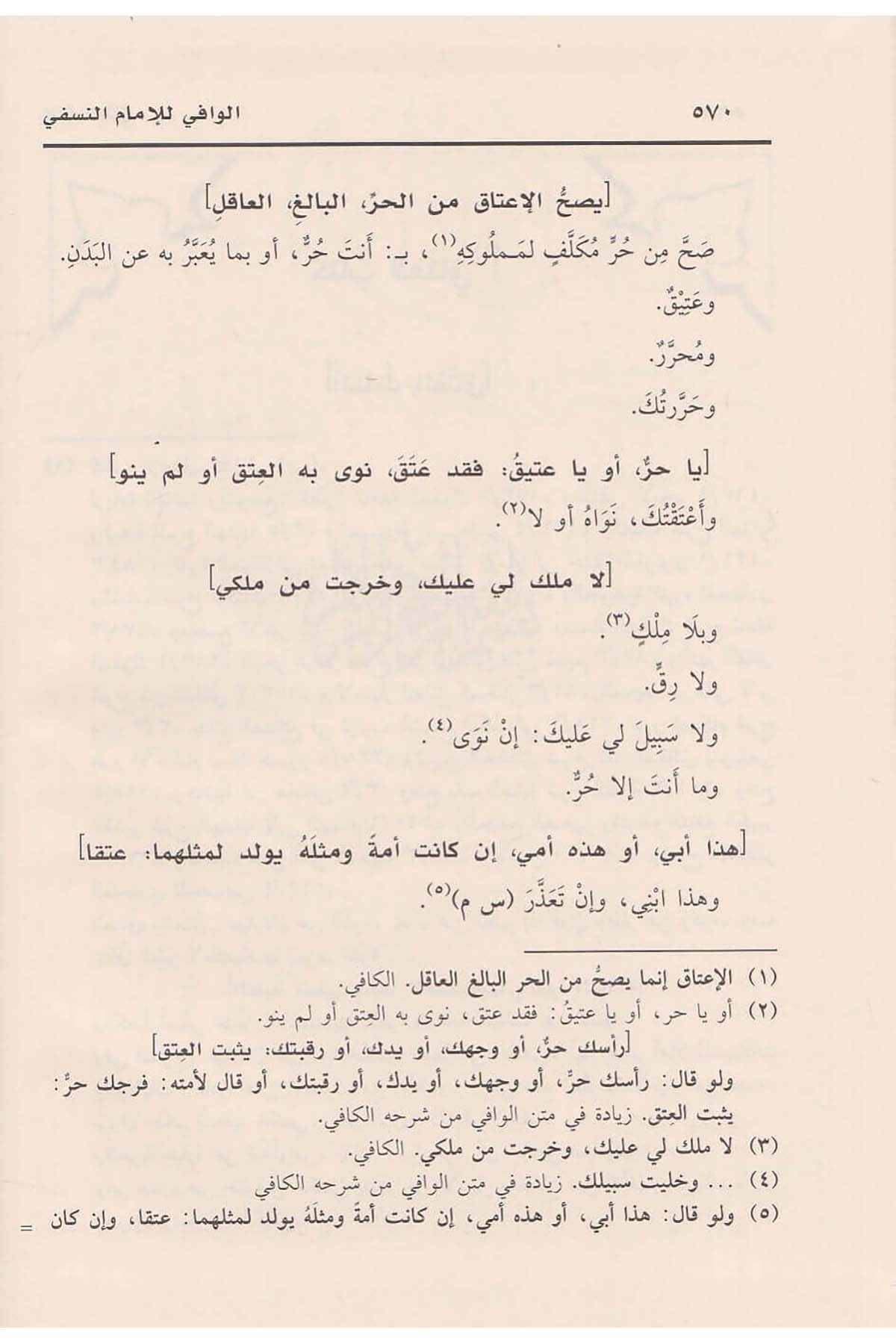 El - Vafi fi'l - Fıkhi Ala Mezheb'il İmam El - A'zam Ebi Hanife En - Nu'manRisaleti AlemiyyeHanefi Fıkhı