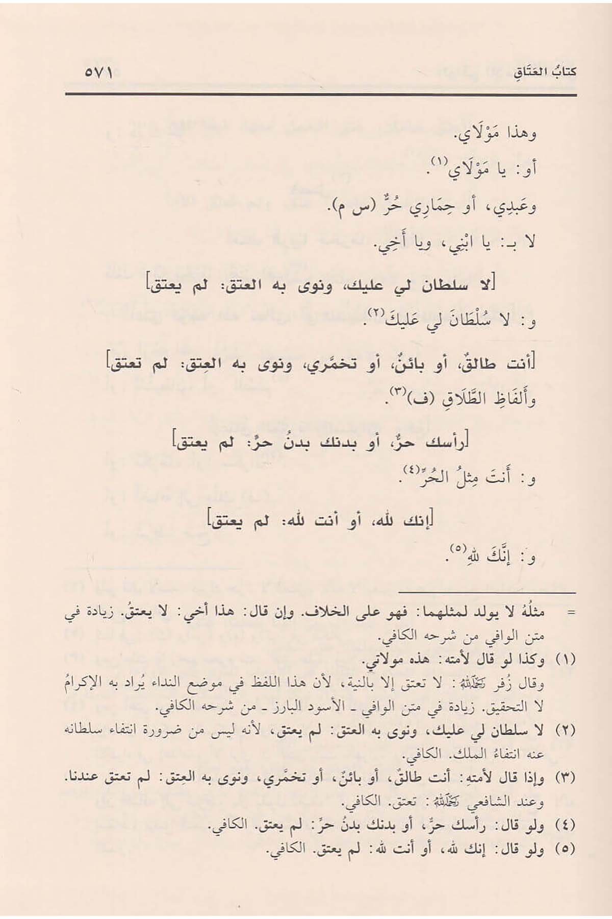 El - Vafi fi'l - Fıkhi Ala Mezheb'il İmam El - A'zam Ebi Hanife En - Nu'manRisaleti AlemiyyeHanefi Fıkhı