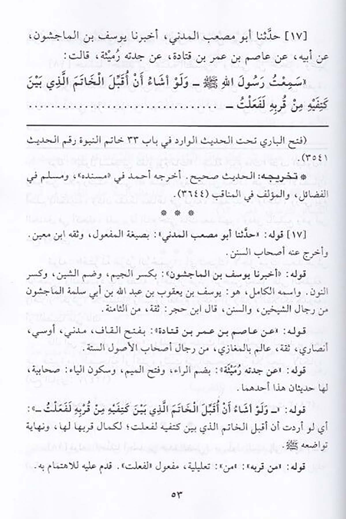 الوصائل في شرح الشمائلDar'ül Beşairil İslamiyyeSiyer