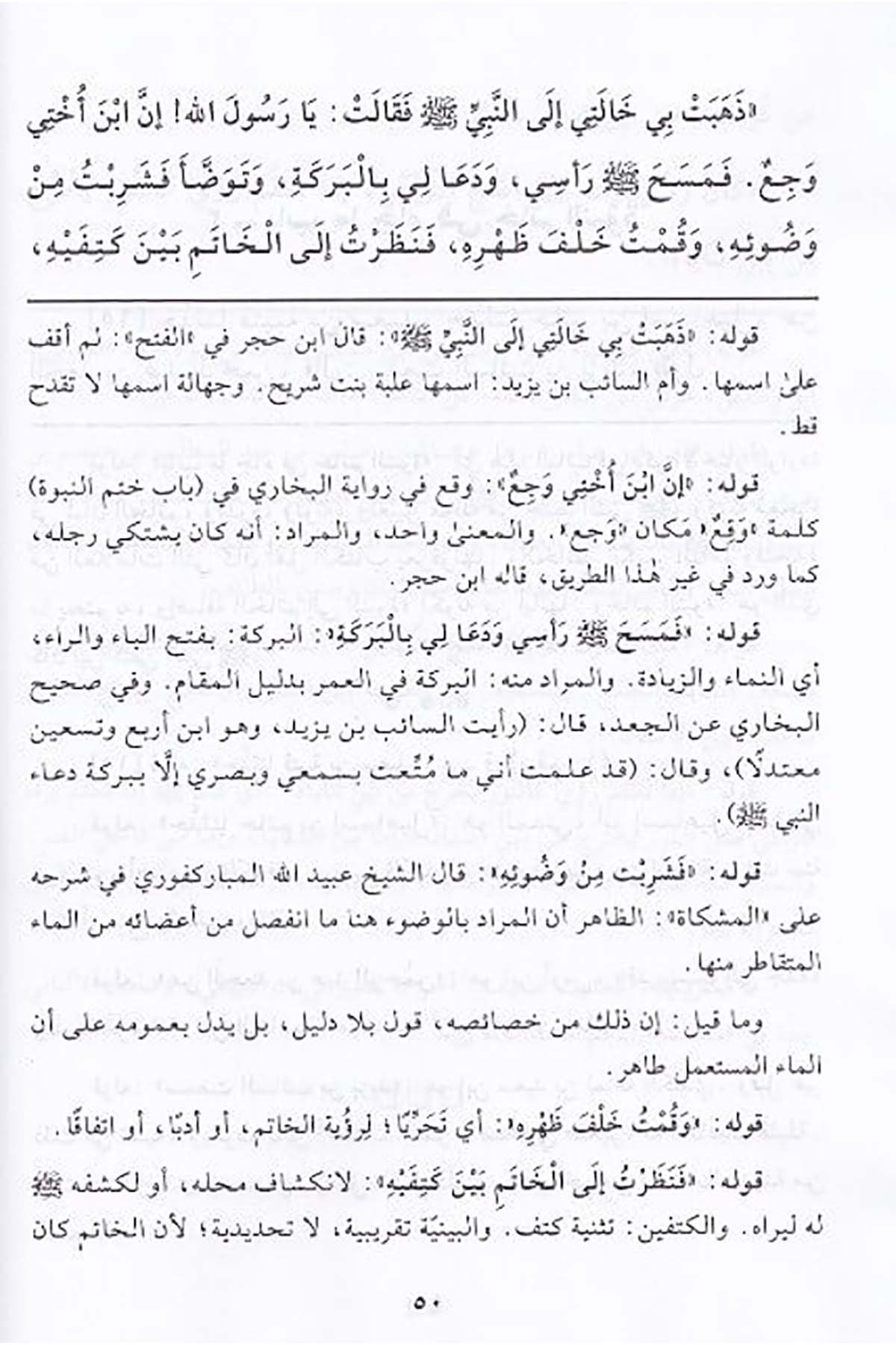 الوصائل في شرح الشمائلDar'ül Beşairil İslamiyyeSiyer