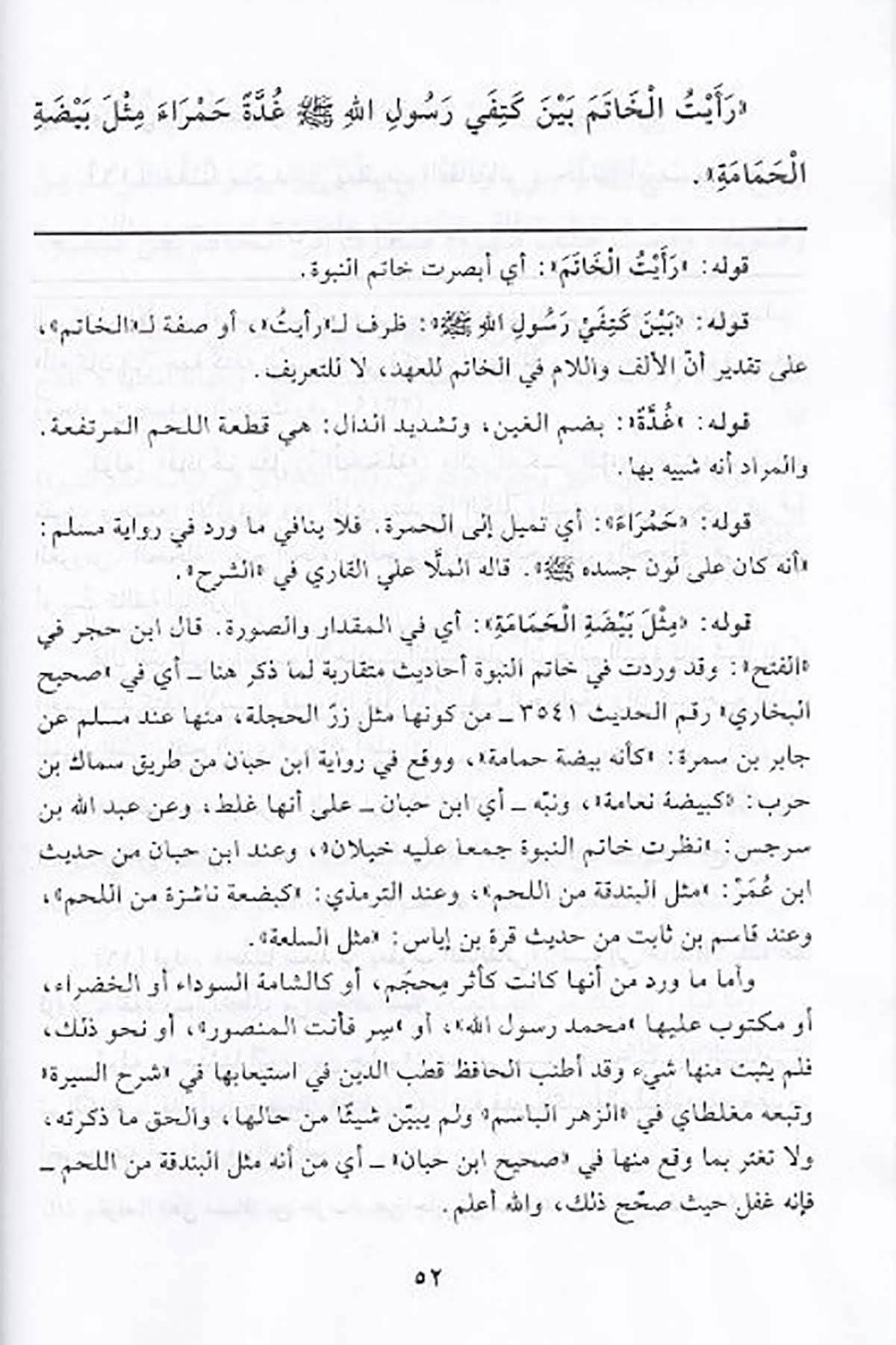 الوصائل في شرح الشمائلDar'ül Beşairil İslamiyyeSiyer