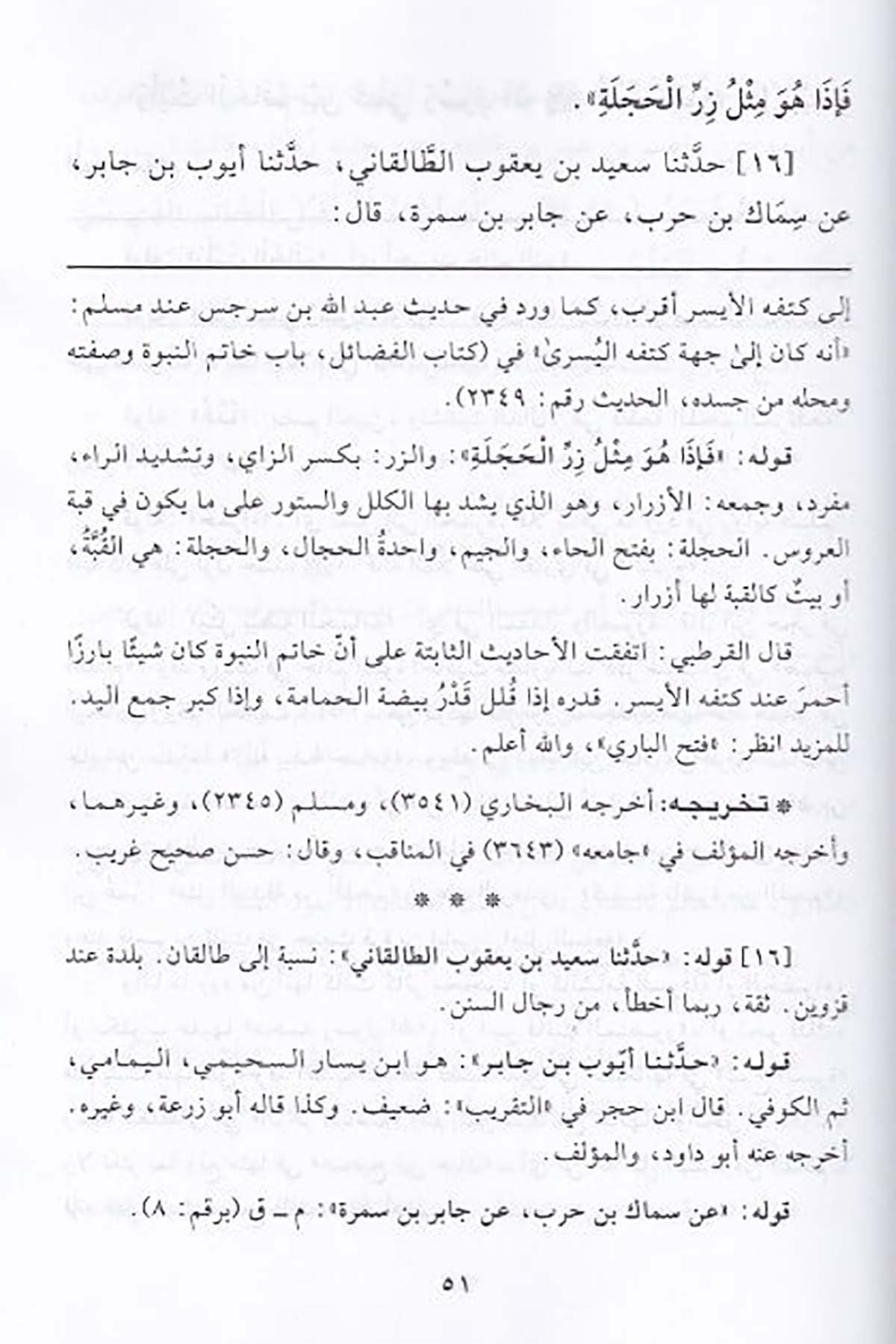 الوصائل في شرح الشمائلDar'ül Beşairil İslamiyyeSiyer