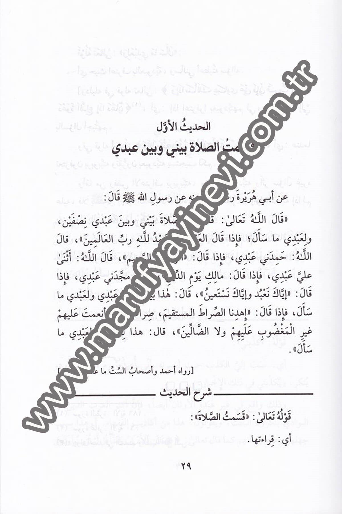 Er Ravdatül Behiyye fi Şerhil Ehadisil Kudsiyyetil Erbainiyye 1CiltDar'ül Beşairil İslamiyyeHadis