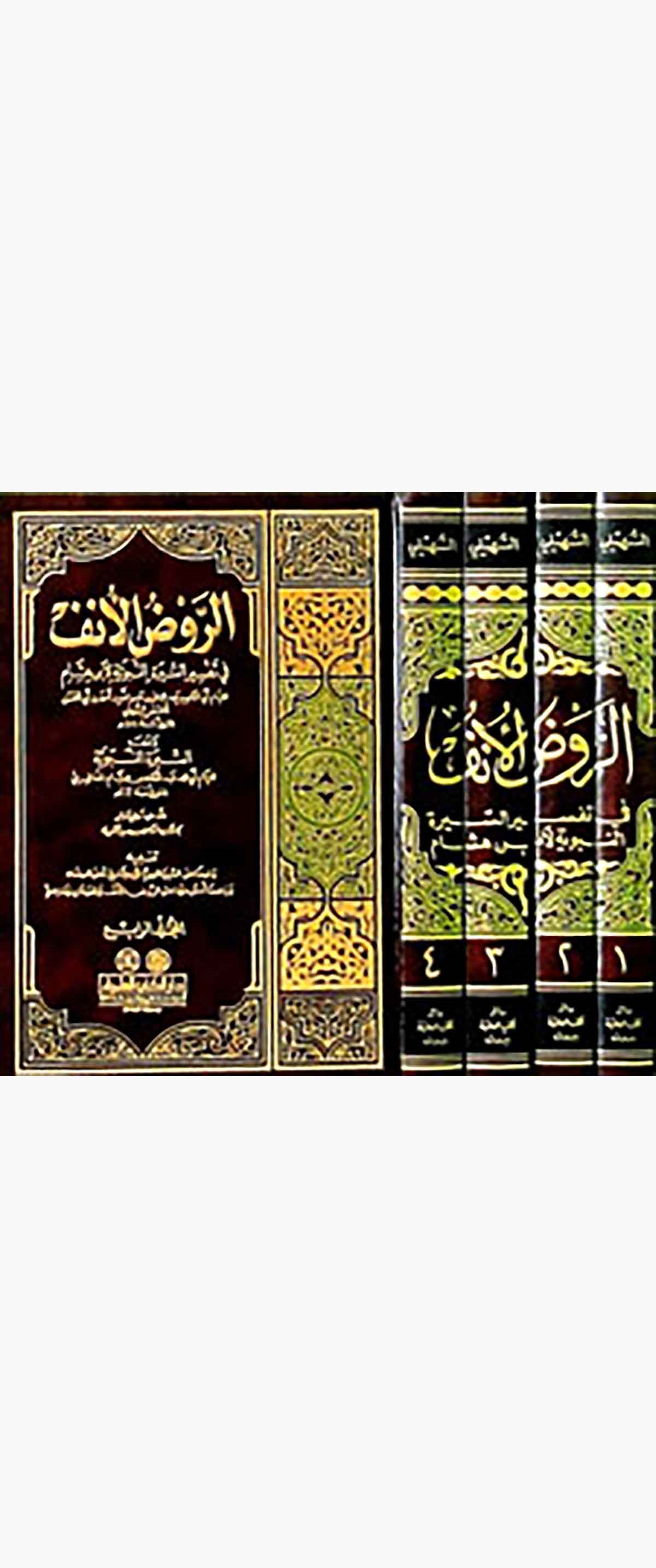 Er Ravzül Ünf Fi Şerhis Siretin Nebeviyye Li İbn HişamDarü'l-Kütübi'l-İlmiyyeSiyer
