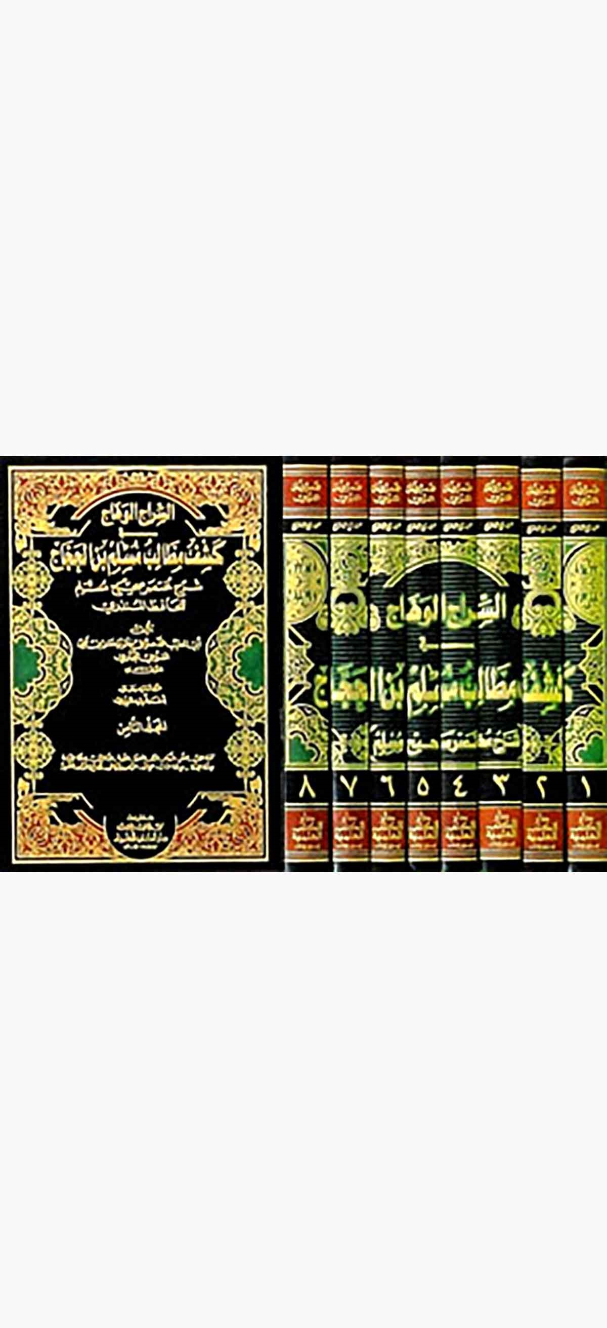 Es Siracül Vehhac Fi Keşfi Metalibi Müslim B. El HaccacDarü'l-Kütübi'l-İlmiyyeHadis