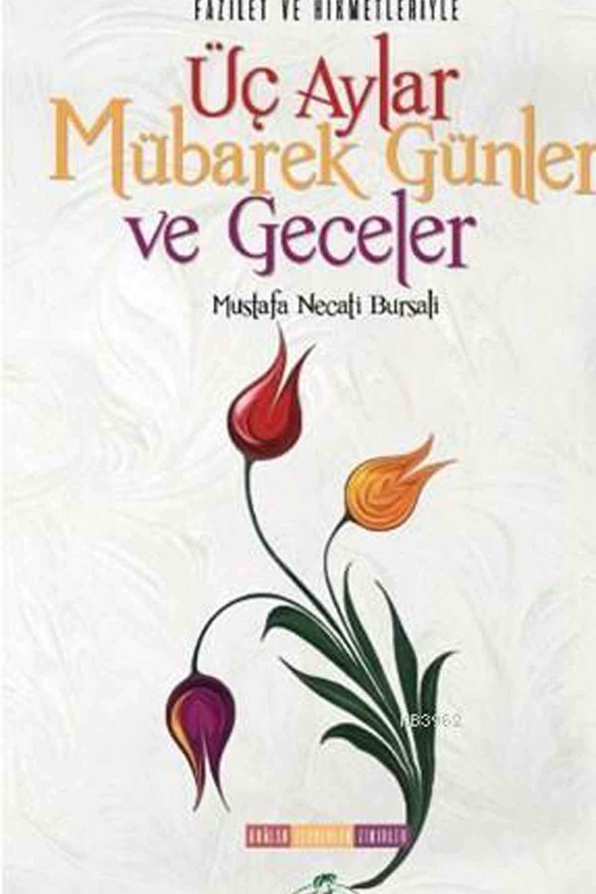 Fazilet ve Hikmetleriyle Üç Aylar Mübarek Günler  Ve Geceler Dualar - Tesbihler - Zikirler Ravza YayınlarıDiğer