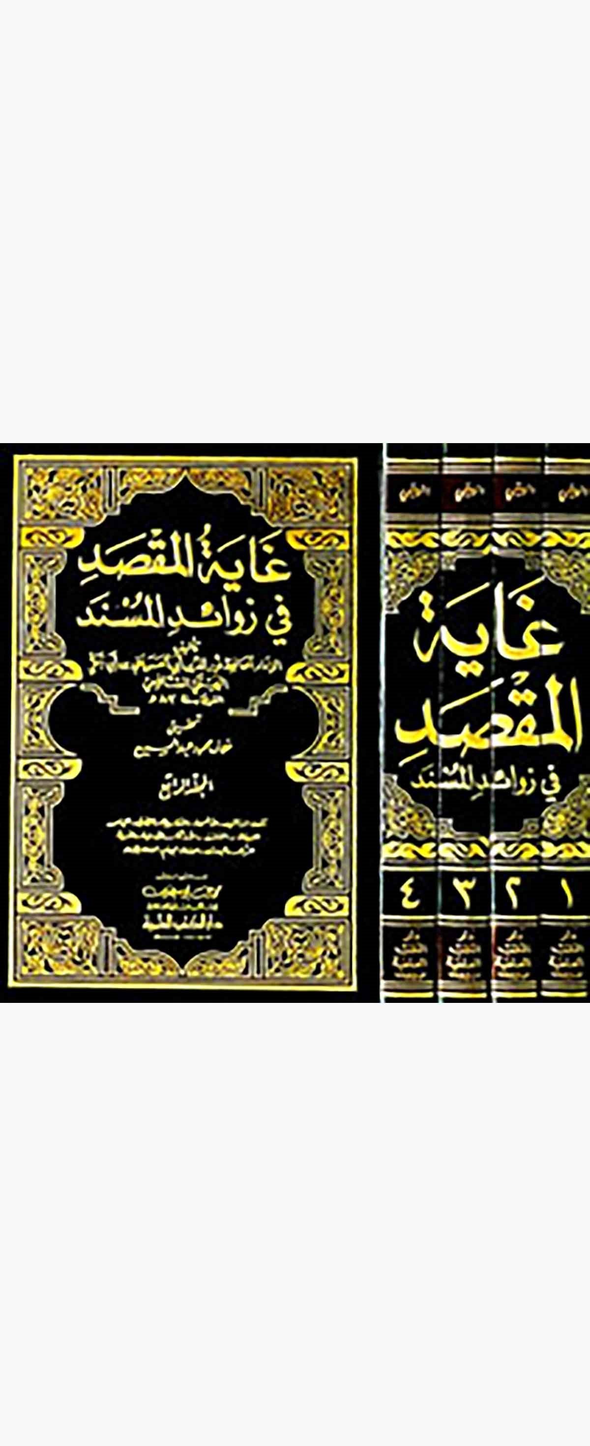 Gayetül Maksad Fi Zevaidil MüsnedDarü'l-Kütübi'l-İlmiyyeHadis