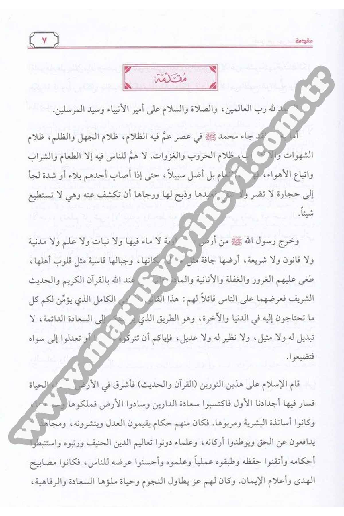 Kabes Min Nuri Muhammed Sallallahu Aleyhi Ve Sellem 1Cilt  -Dar'ül Risaletü NaşirunSiyer