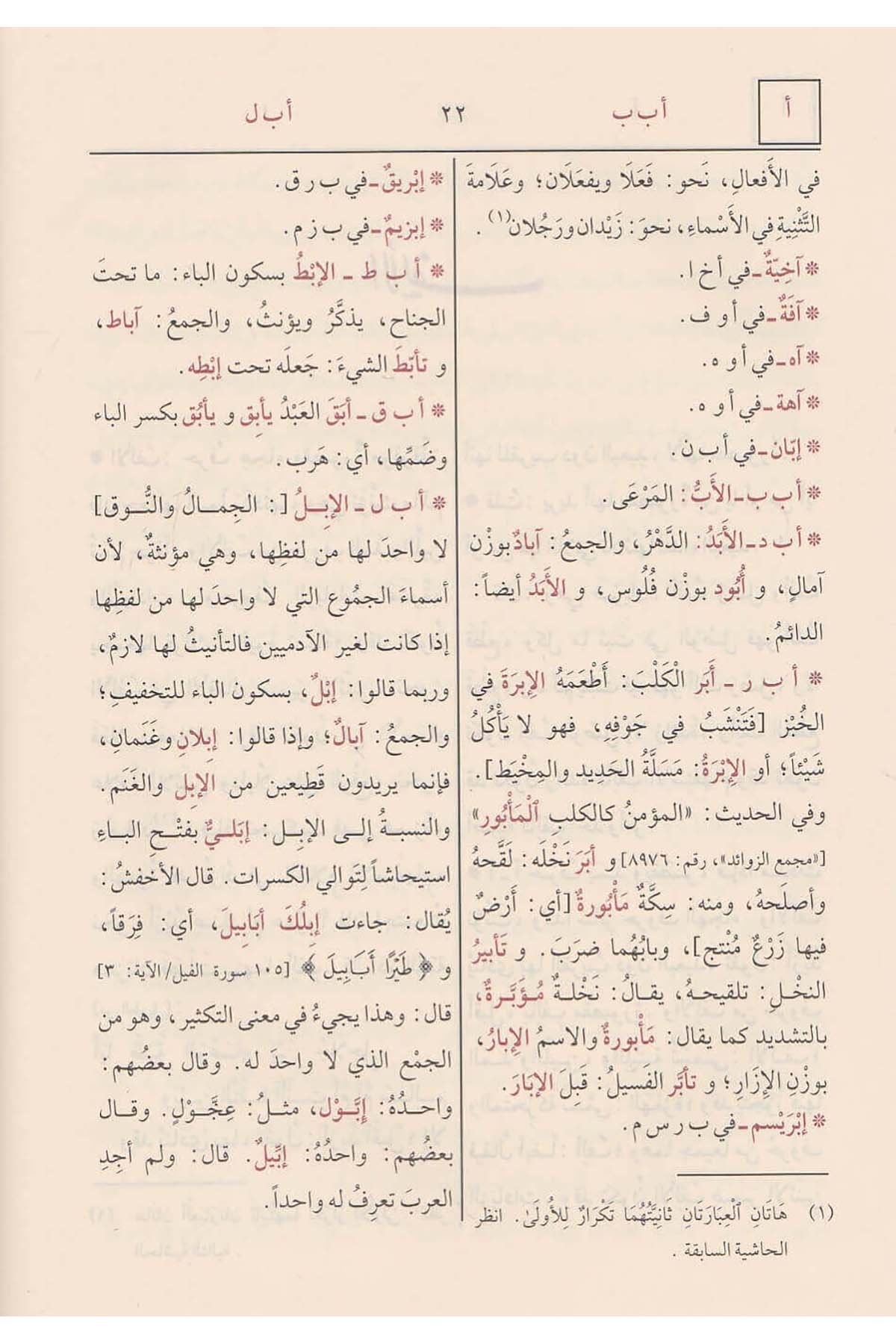 Muhtarü'S - Sıhah | مختار الصحاحDar'ül İbn HazmSözlükler