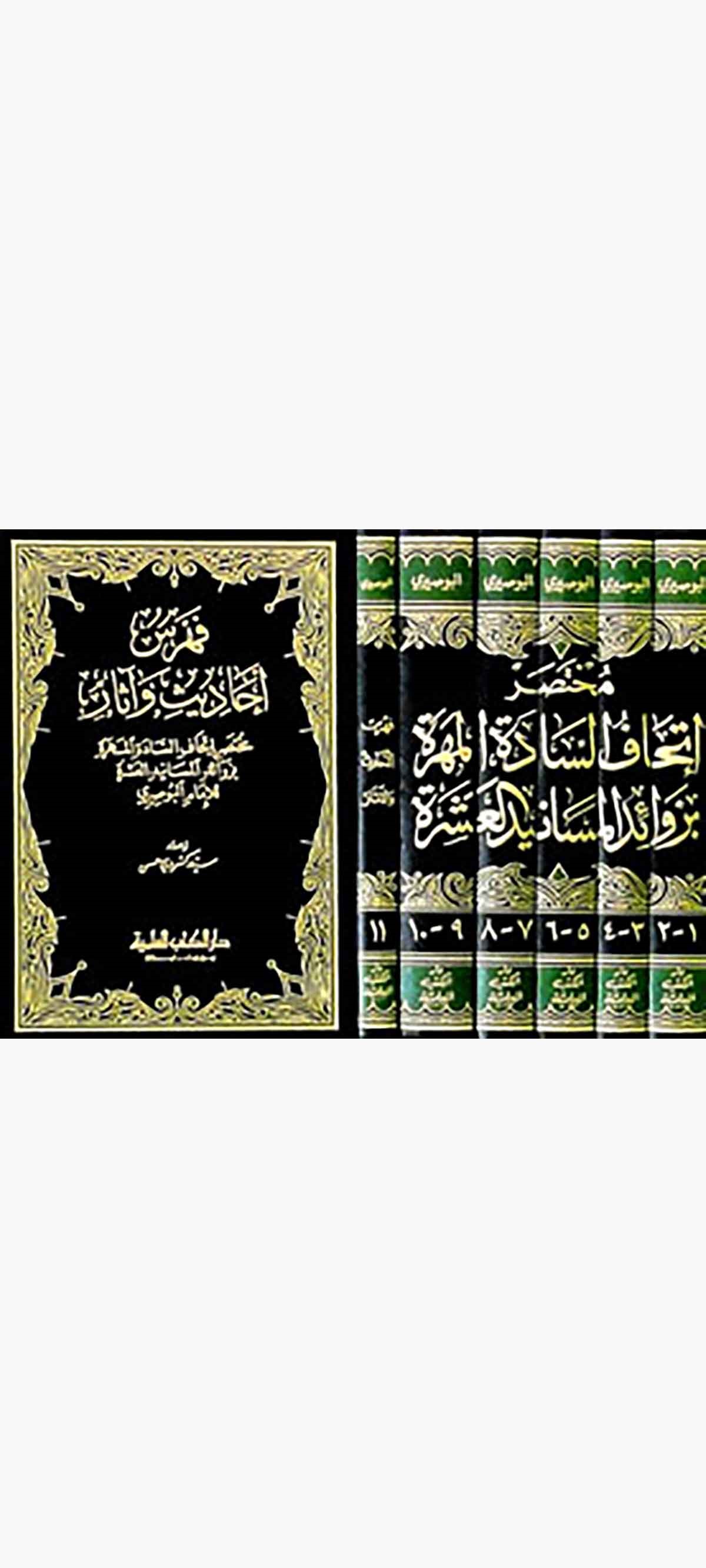 Muhtasaru İthafis Sadetil Mehere Bi Zevaidil Mesanidil AşereDarü'l-Kütübi'l-İlmiyyeHadis