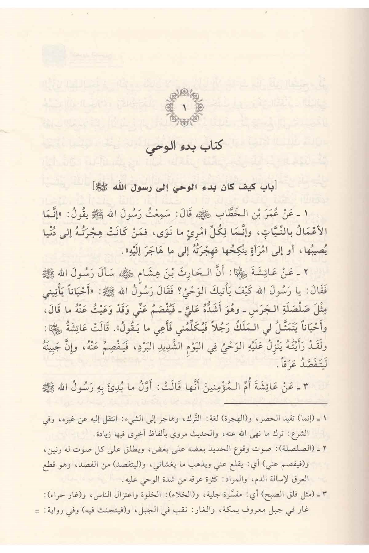 Muhtasaru Sahihil-Buhari - مختصر صحيح البخاريDar'ül İbni KesirHadis