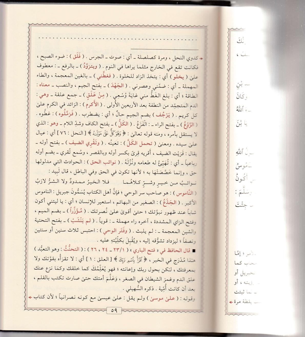 Muhtasaru Sahihi'l Buhari - مختصر صحيح البخارDarül MinhacHadis