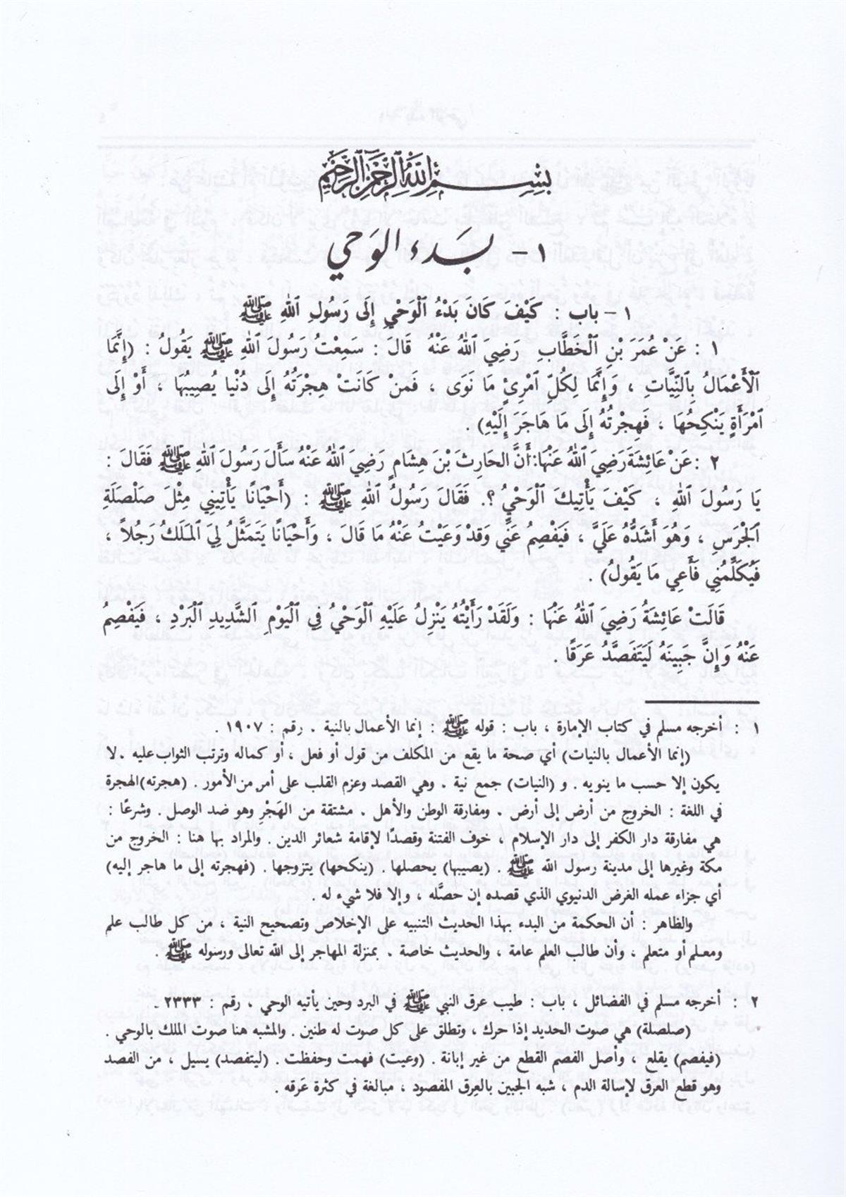 Muhtasaru Sahihi'l-Buhari - مختصر صحيح البخاريDarül Mustafa دار المصطفىHadis