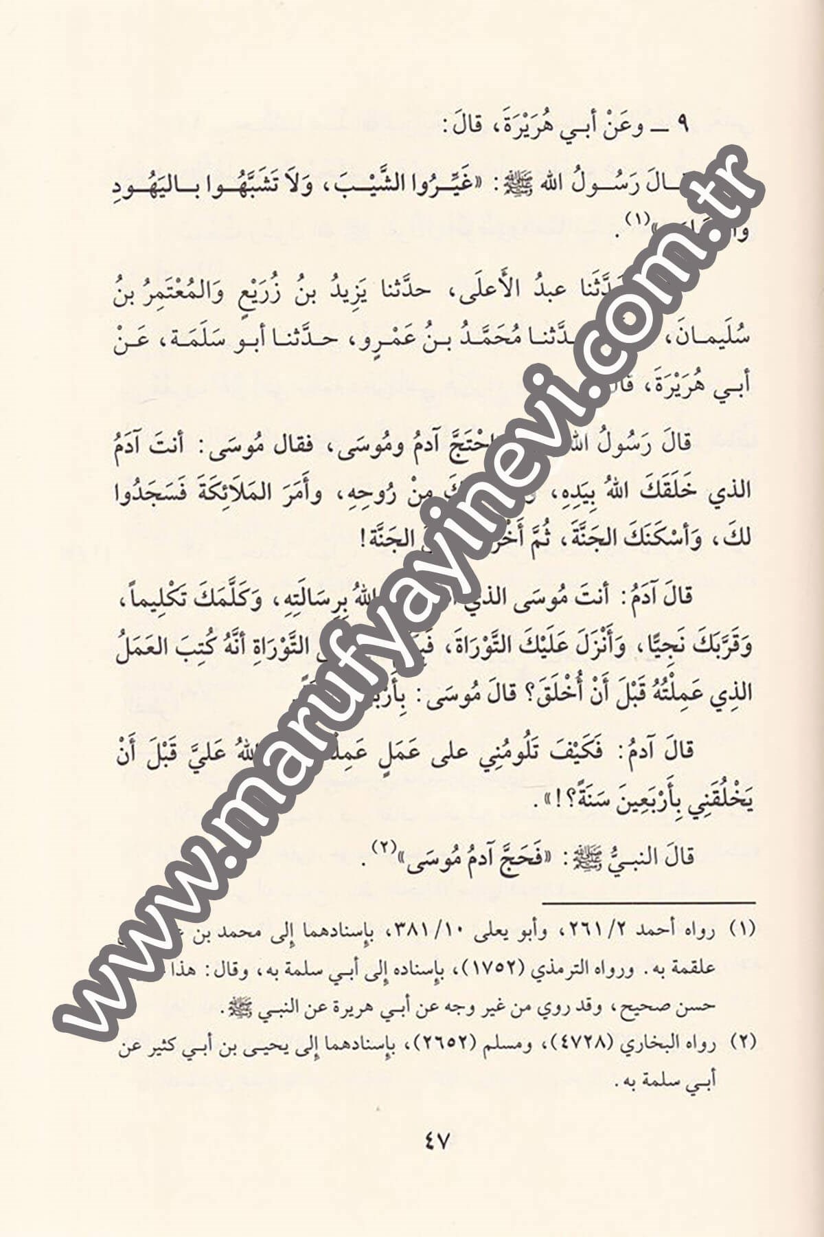 Müsnedu Ebi Hureyre 1CiltDar'ül Beşairil İslamiyyeHadis