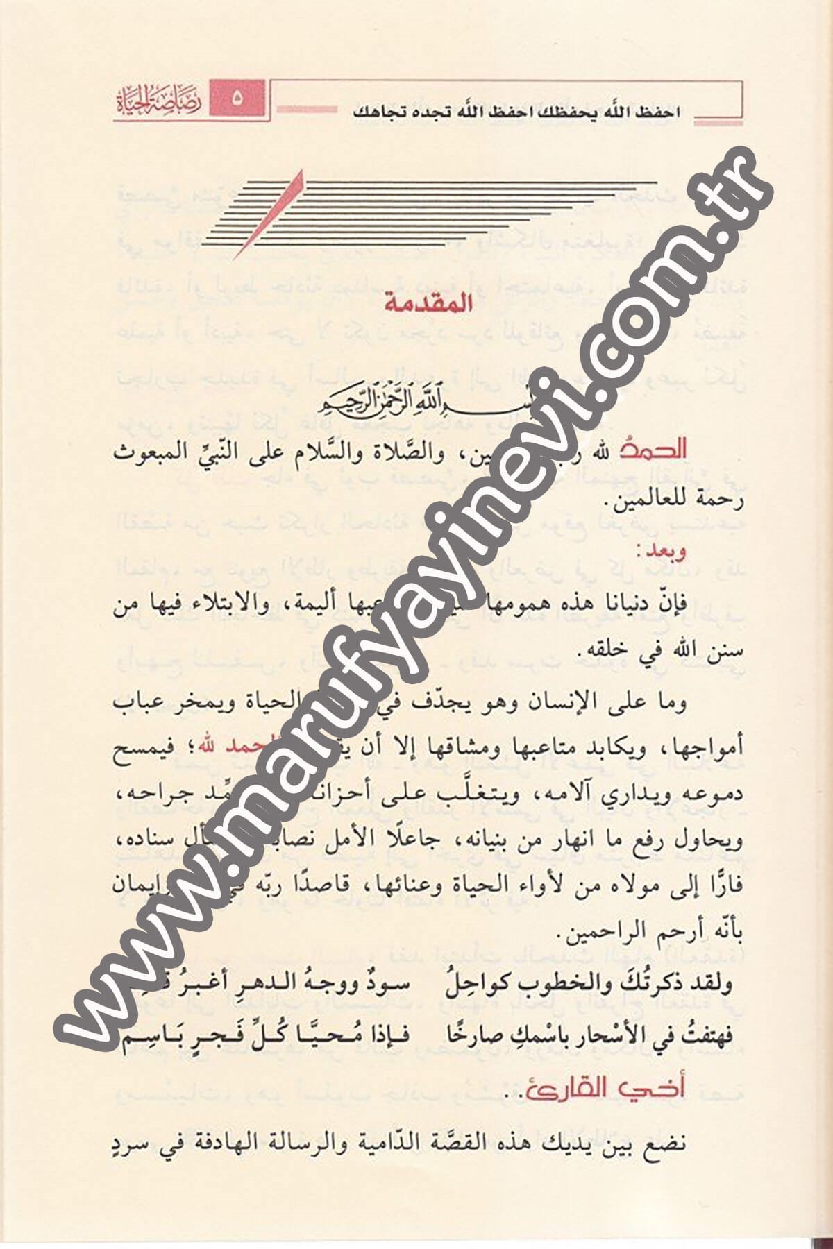 Rasâsatül hayat 1CiltDar'ül Beşairil İslamiyyeHikaye ve Roman