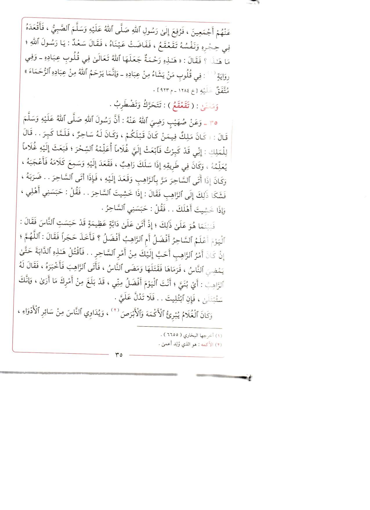 Riyazüs Salihin min Kelami Seyyidil Mürselin - رياض الصالحين من كلام سيد المرسلين - رياض الصالحين من كلام سيد المرسلينDarül MinhacHadis