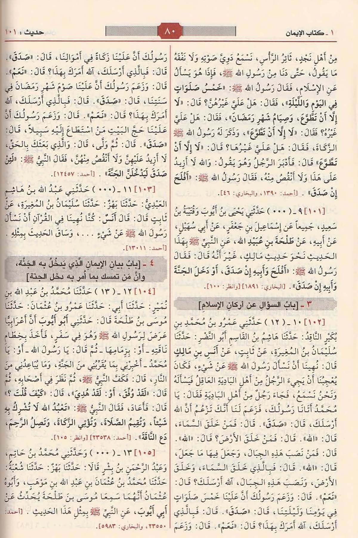 صحيح مسلمDar'ül Risaletü NaşirunHadis