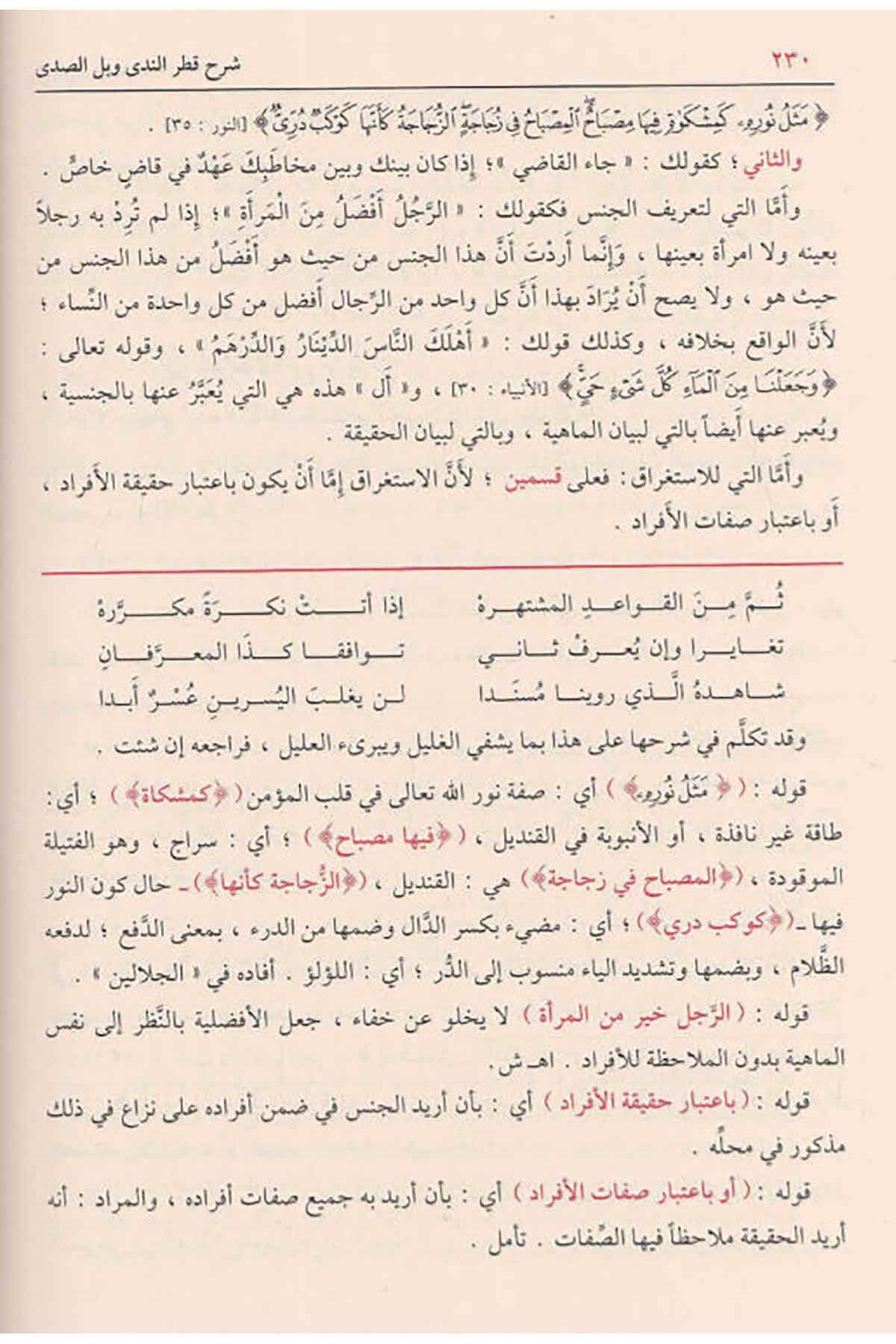 شرح قطر الندى وبل االصدىDar'ül FeyhaArapça Dil Öğretimi