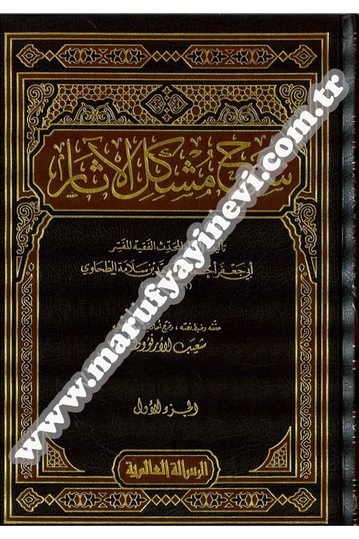 Şerhu Müşkilil Asar 16 CiltRisaleti AlemiyyeHadis