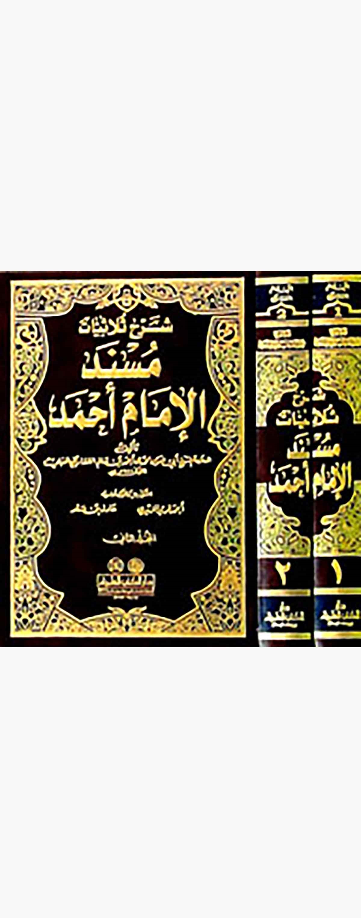 Şerhu Sülasiyyatı Müsnedil İmam Ahmed Nefesatu Sadril Mükmedve Kurratu Aynil ErmedDarü'l-Kütübi'l-İlmiyyeHadis
