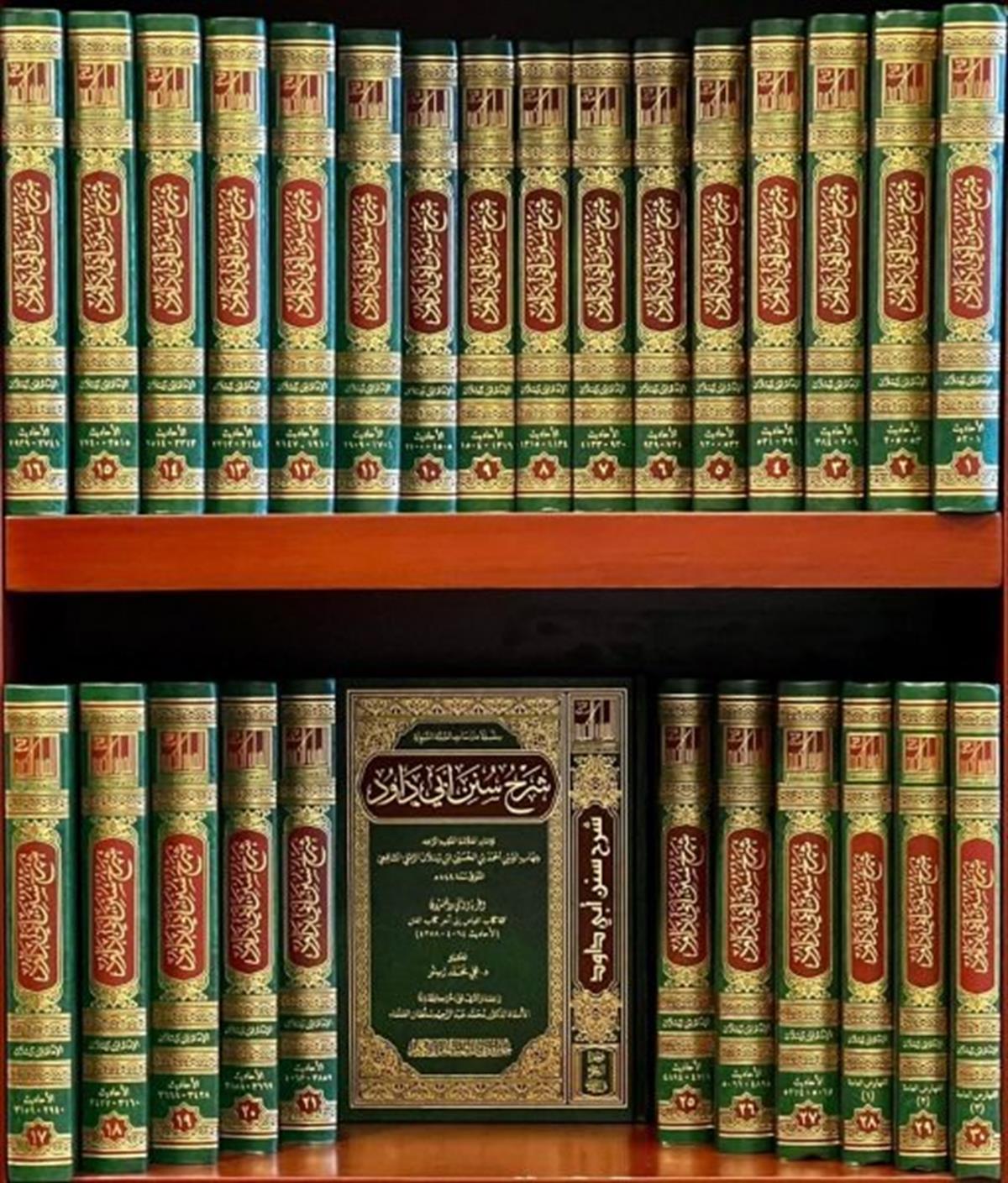 ŞERHU SÜNENİ EBU DAVUD - شرح سنن أبي داود Caizetü'd-Dubai'd-Devliyye - جائزة دبي الدولية للقرآن الكريمHadis