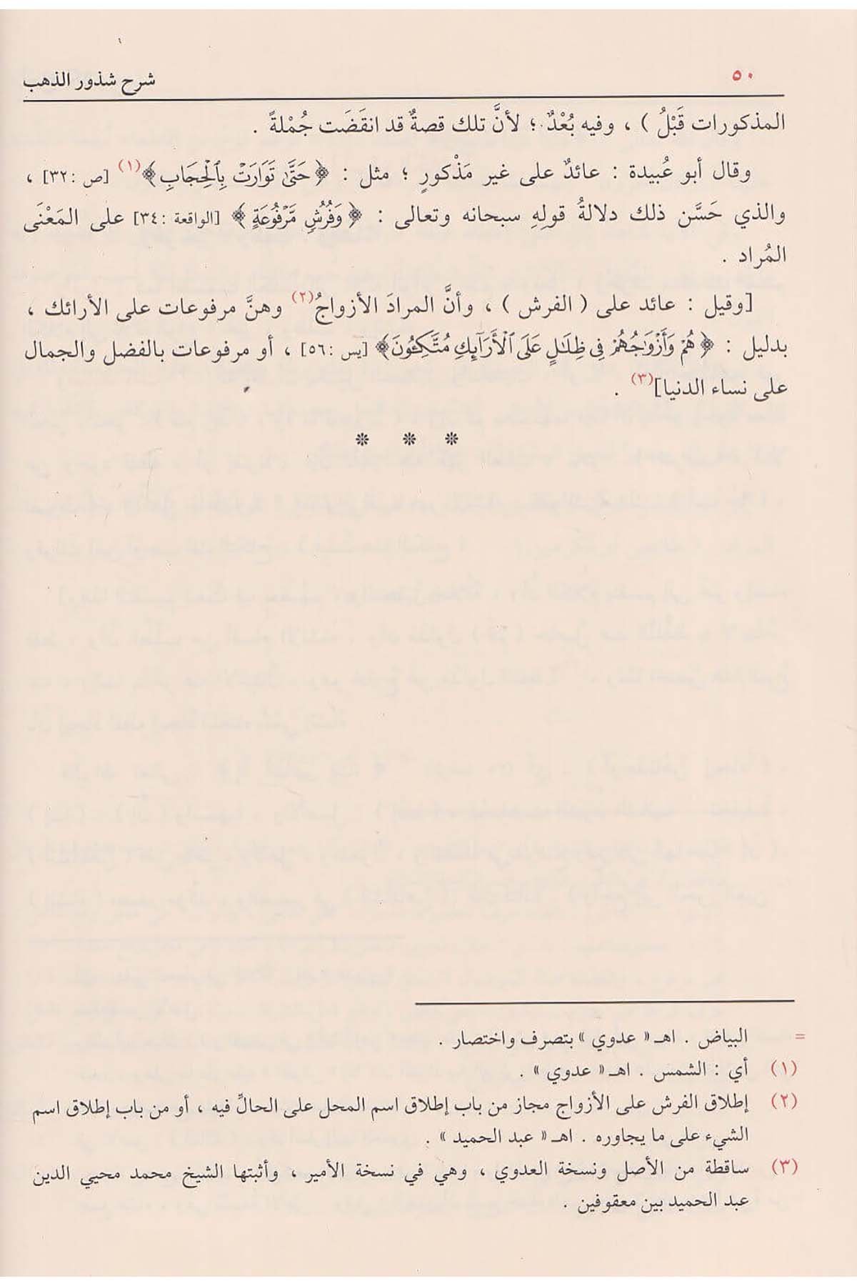 شرح شذور الذهبDar'ül FeyhaArap Dili ve Edebiyatı