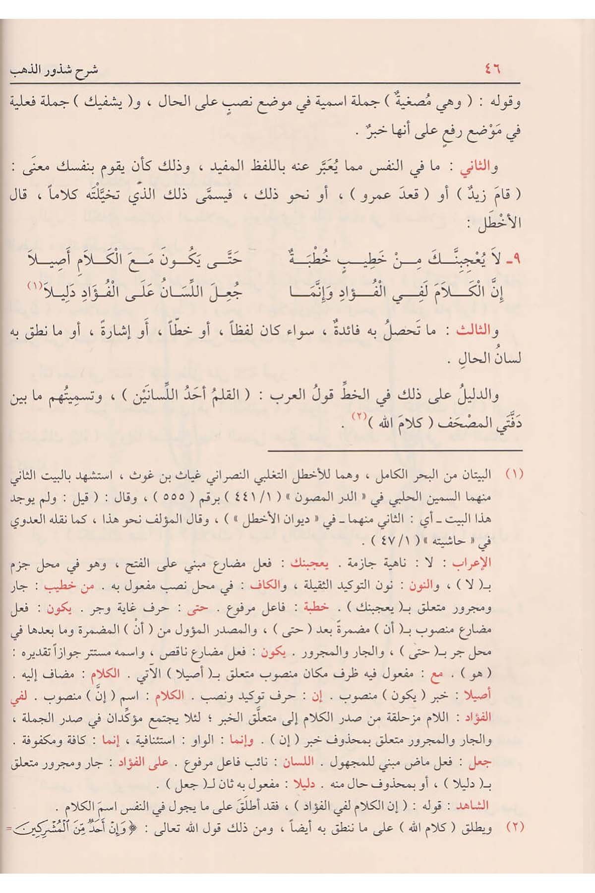 شرح شذور الذهبDar'ül FeyhaArap Dili ve Edebiyatı